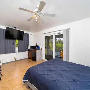 https://blue-hawaiian-rentals-1.hotelsinhawaii.org
